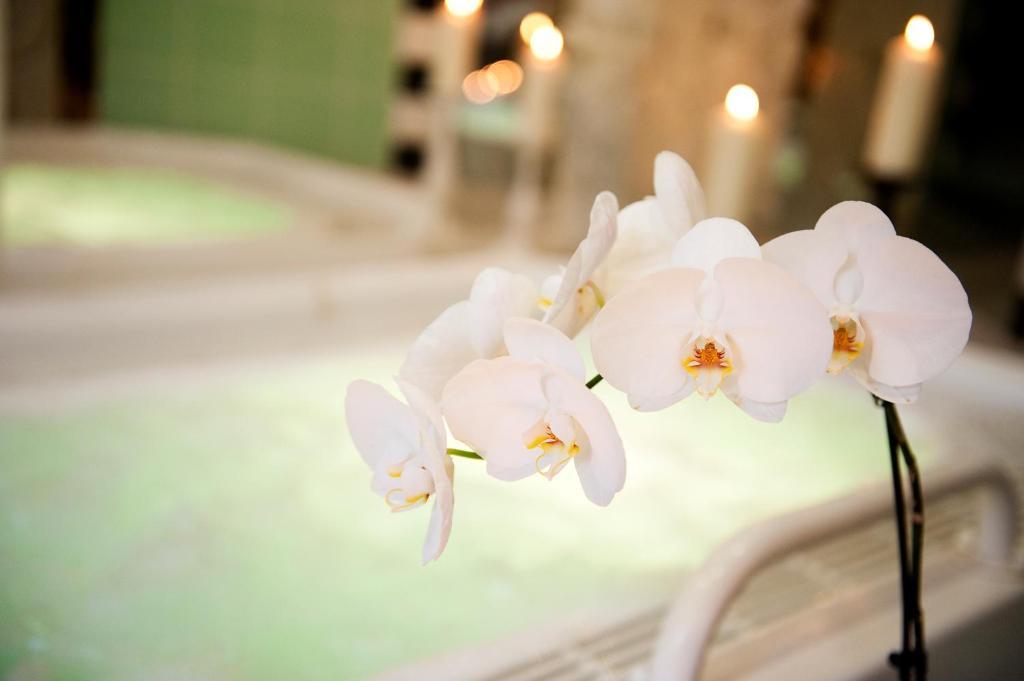 Ringhotel Vitalhotel Ambiente Bad Wilsnack Exteriér fotografie